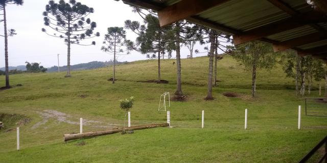 Chácara 7,5 Ha Vila Oliva - Foto 13