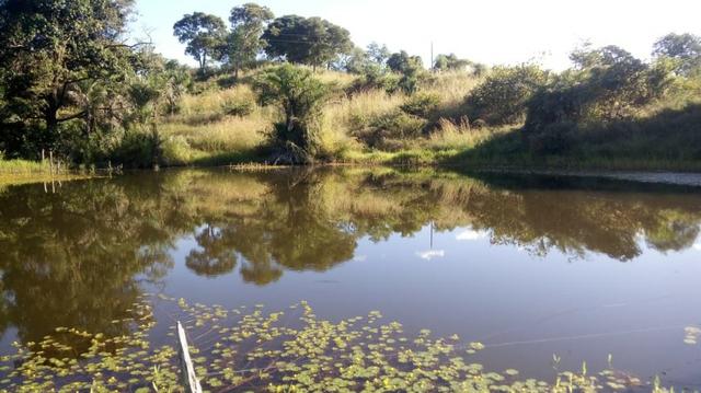 Fazenda no município de faina-GO! 24 Alqueires! - Foto 13