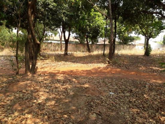 Terreno à venda, 1.200 m² por r$ 325.000,00 - morada do ouro - setor centro norte - cuiabá - Foto 5