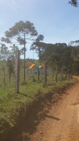 Campo alegre, campinas - Foto 7