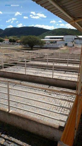 Fazenda no Estado da Bahia - Foto 17