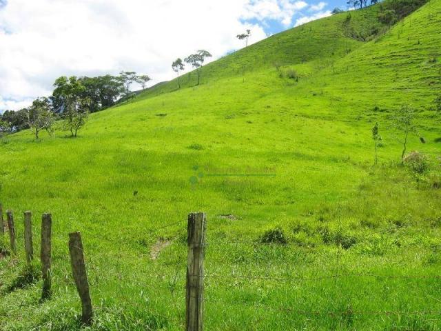 Fazenda rural à venda, Sebastiana, Teresópolis. - Foto 15