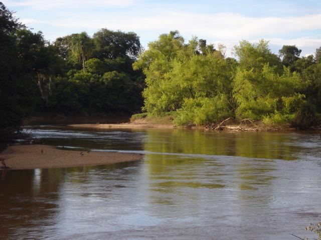 Lindo Sítio com fundos para o Rio da Várzea - Foto 14