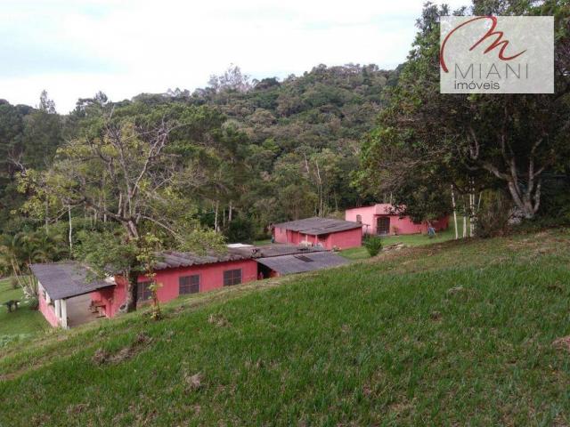 Chácara residencial à venda, Jardim das Palmeiras, Juquitiba. - Foto 4