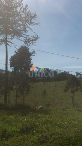 Campo alegre, campinas - Foto 2