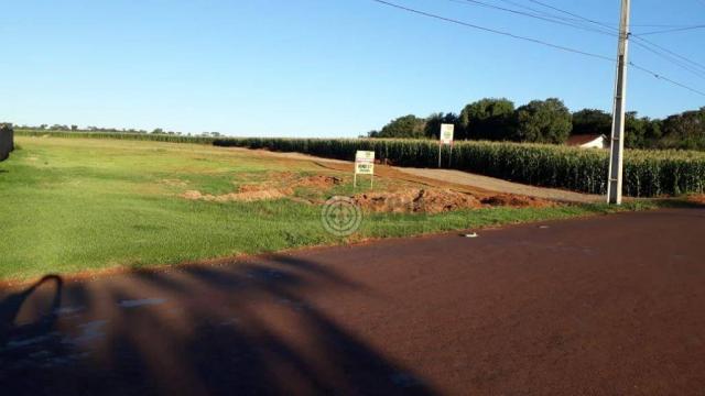 Chácara 24.200 m2 próx. Felipe Wandcheer - Foto 2