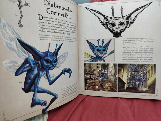 Livro Harry Potter - Foto 2