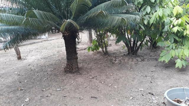 Chácara em Vitorino Freire