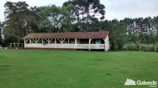 Chacara|Área com 60.000m² em São José dos Pinhais - Foto 14