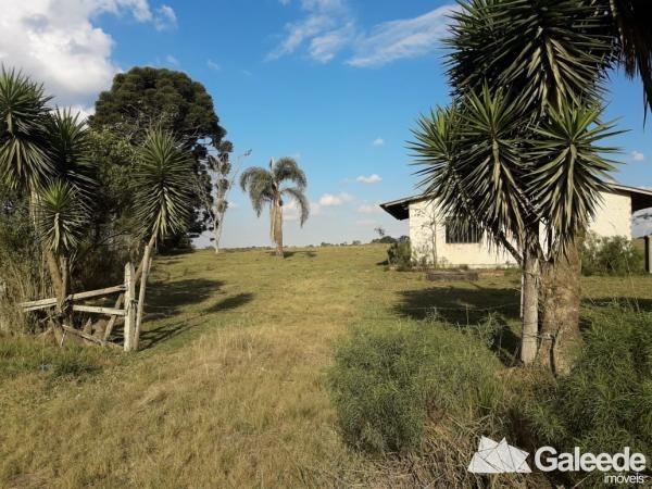 Área Industrial - São José dos Pinhais - Foto 6