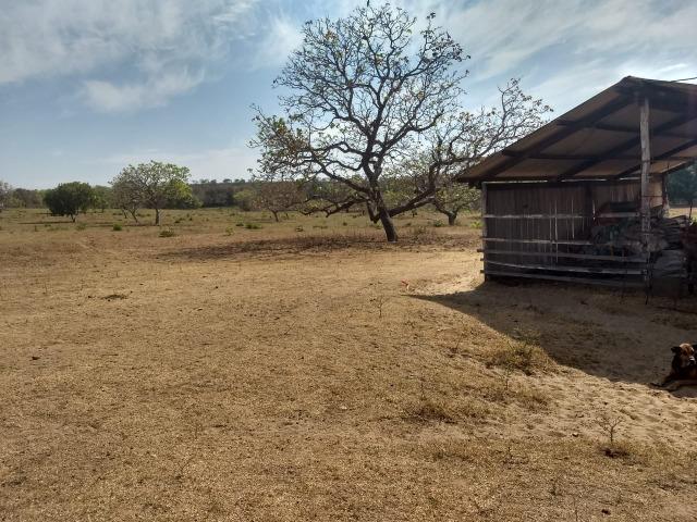 Fazenda para Pecuaria com 1.100 hectares na beira no Lago do Manso - Foto 17