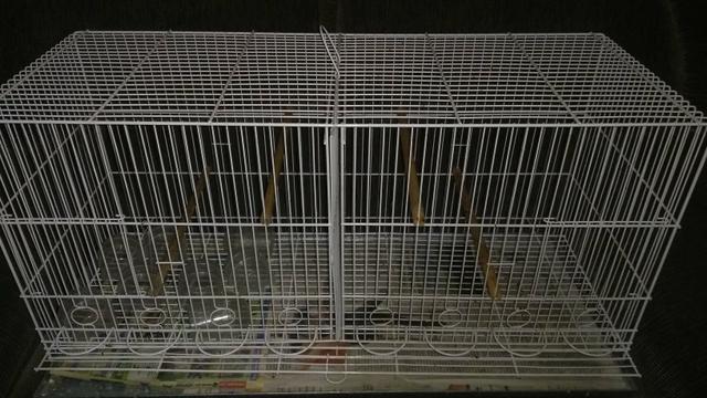 Gaiola - Foto 2