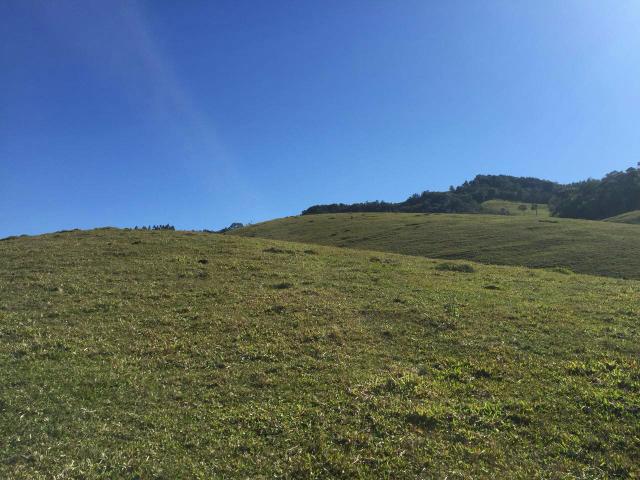 Fazenda anitápolis - Foto 4