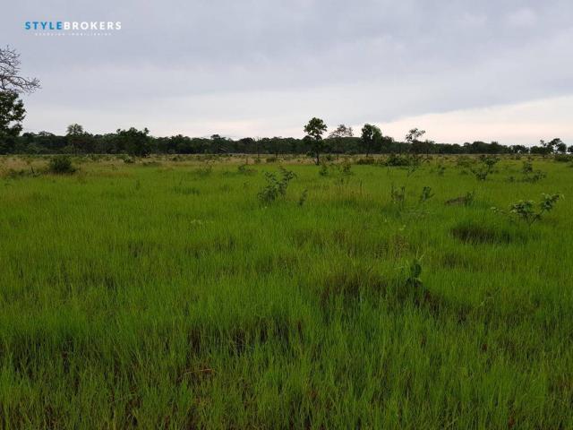 Fazenda em Porto Esperidião - Foto 11