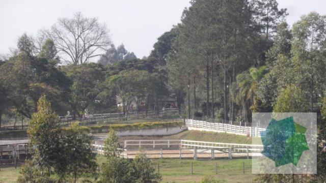 Haras à Venda em Sarapuí/SP - Foto 9