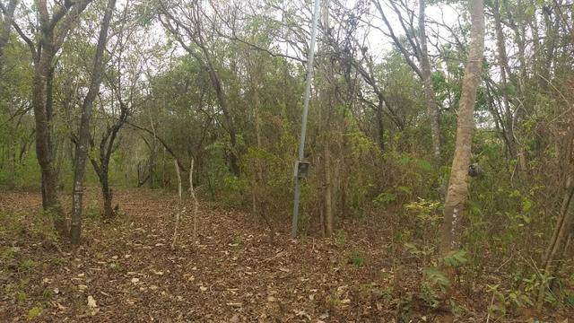 Lote 991m2 - Represa de Três Marias - Felixlândia - Foto 16