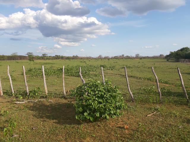 Vendo fazenda em crateus ce ou troco - Foto 3