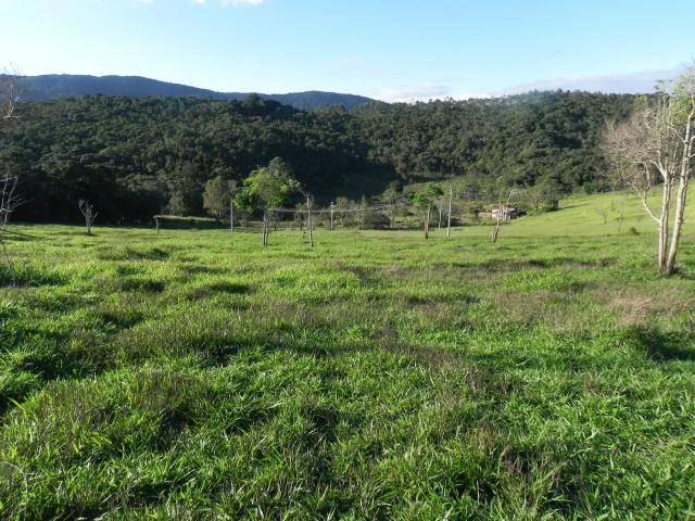 Paisagem perfeita, terreno lindo