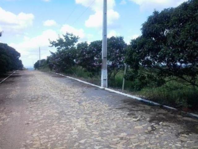 Fazendinha alto luxo 20 mil em Condominio Fechado Portal do Horizonte - Foto 7