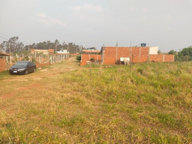 Chácara em Alfredo Marcondes , 2 km da cidade e apenas 300 metros do asfalto!! - Foto 4