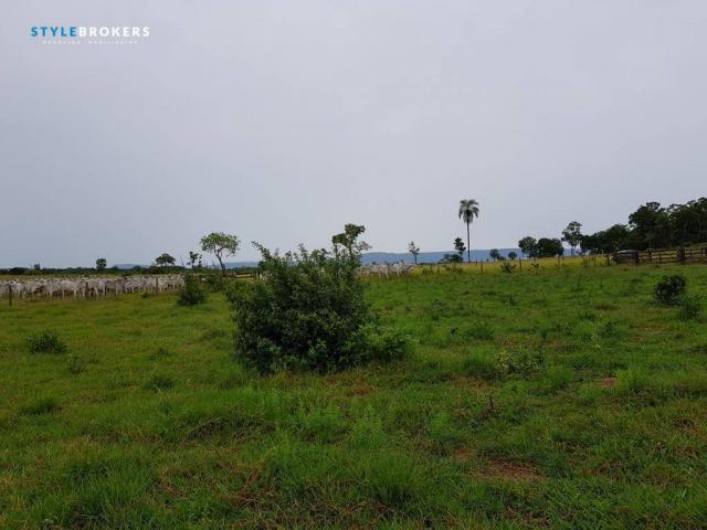 Fazenda em Porto Esperidião - Foto 8