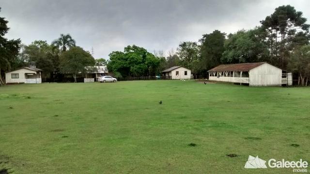 Chacara|Área com 60.000m² em São José dos Pinhais - Foto 6
