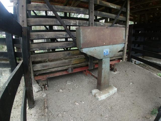 Fazenda em Campo Largo Bairro São Silvestre - Foto 4