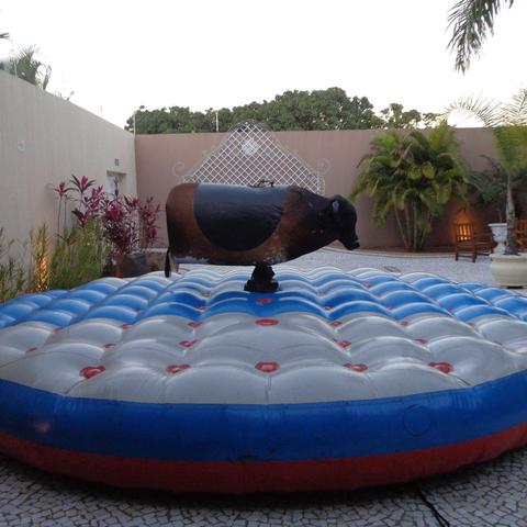 Touro mecanico
