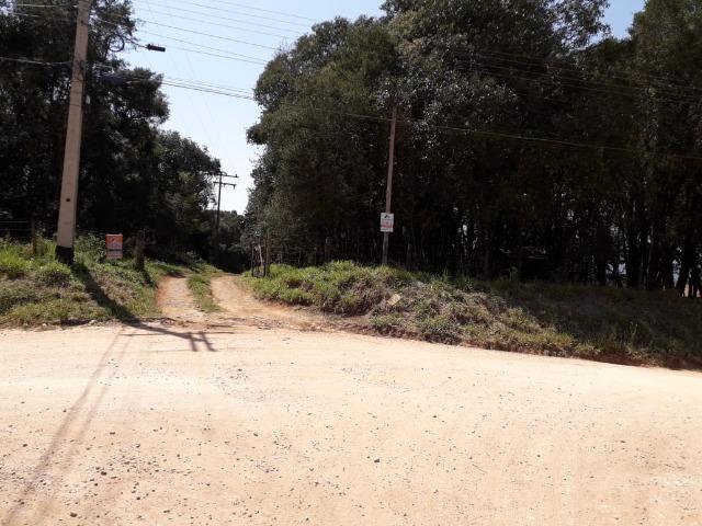 Chácara com 39.631m2 em Campina Grande do Sul - Aceito Imóvel Com Volta - Foto 18