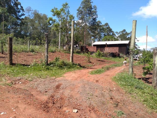 Chácara de 3,2 ha Na Localidade de Pinheiros - Montenegro - RS. 102