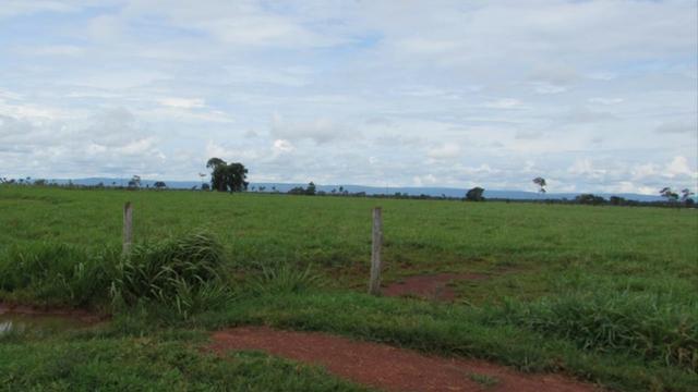 Fazenda 15000 hectares em vila bela, ha 60 km ponte e Lacerda - Foto 7