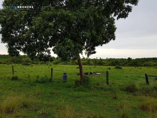 Fazenda em Porto Esperidião - Foto 14