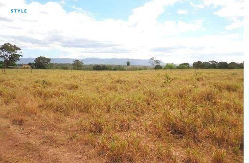 Fazenda em jangada - MT - Foto 15