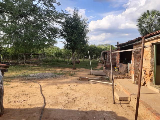 Vendo fazenda em crateus ce ou troco - Foto 4