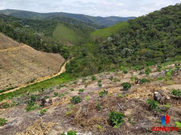 Terreno para Venda em Santa Maria de Jetibá, Centro - Foto 14