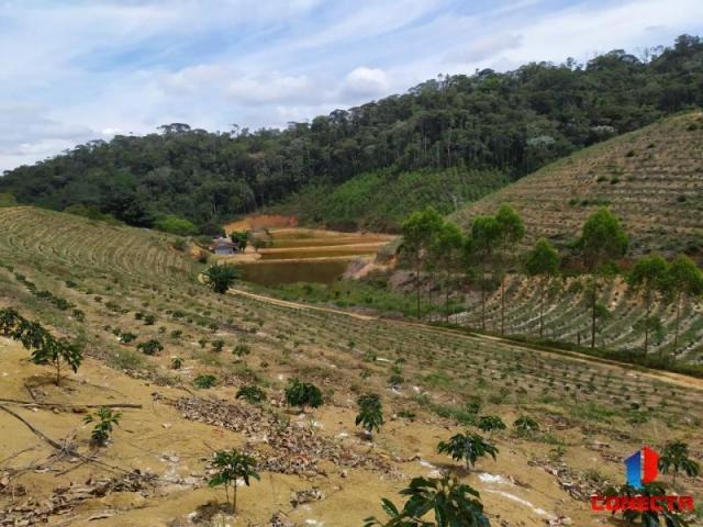 Terreno para Venda em Santa Maria de Jetibá, Centro - Foto 10