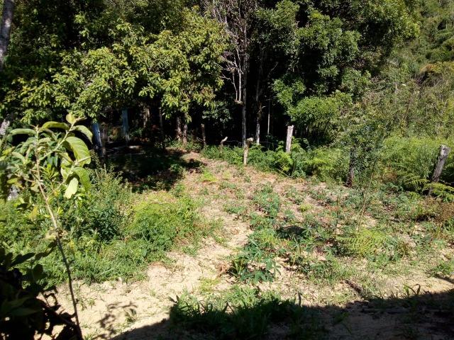 Chácara de Quitandinha 4.800 m² - Foto 13
