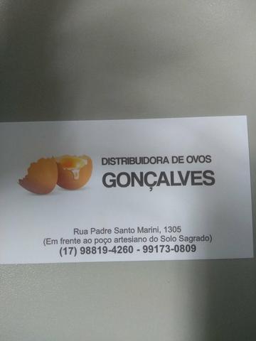 Distribuidora de ovos - Foto 5