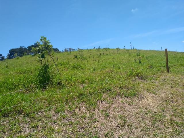 05- Alô Região ótimos preços em 1000mt² - Foto 9
