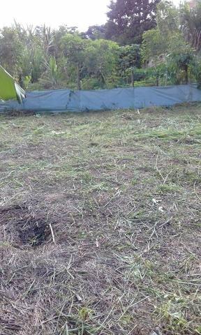 Lote Escriturado 12 x 20 Nicolau dos vargas Conceição do Castelo!! - Foto 5