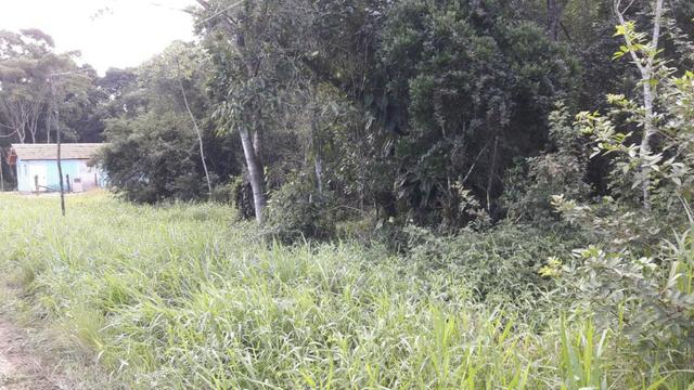 Terreno à venda, 624 m² por R$ 65.000,00 - Praia do Imperador - Itapoá/SC - Foto 10
