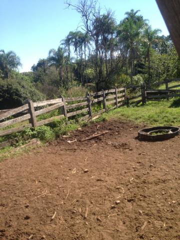 Fazenda caruru Valor R$ 1,400,000