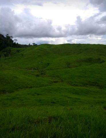 Fazenda ( Colônia) - Foto 3