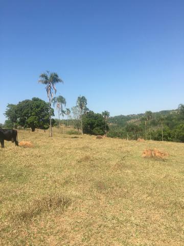 Fazenda caruru Valor R$ 1,400,000 - Foto 20