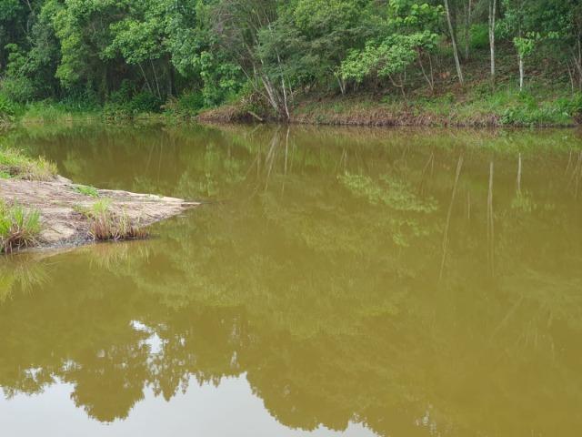 22 - Vendo Lindo Lote de 1000 m² . Garanta Agora !!! - Foto 3