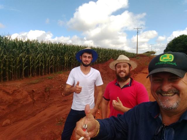 Alugo Fazenda p Arrendamento no Ms 1000 há - Foto 3
