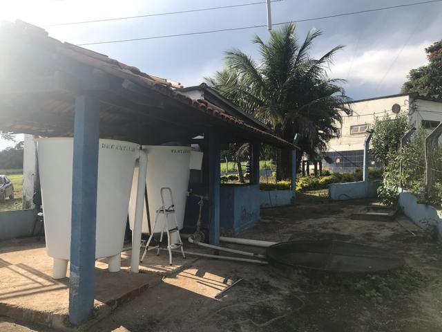 Laticínio - Foto 5