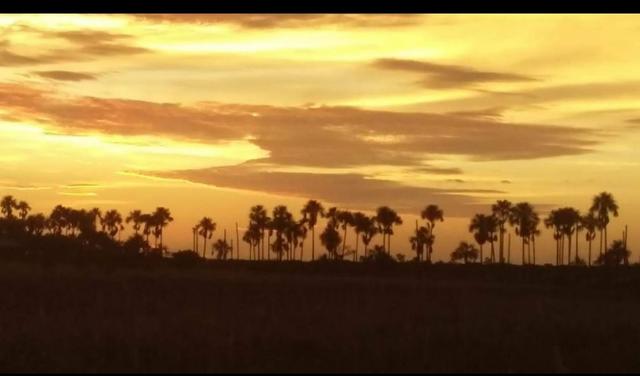 Terra em Alto Alegre para soja - 1000 hectares preço bom