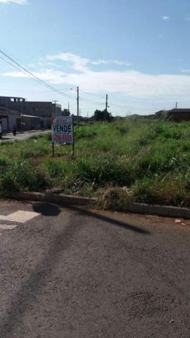 Terreno à venda em Cardoso, Aparecida de goiânia cod:AR2334 - Foto 6