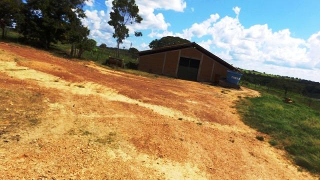 Fazenda em Ipameri (Soja e Pasto ; Beira Asfalto) - Foto 13